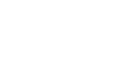 Shandong Fourmi Vehicles Co., Ltd
